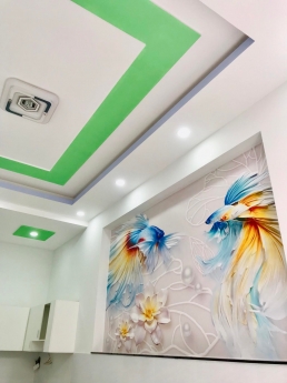 Nhà bán Bình Tân Ao Đôi– Chỉ nhỉnh 4 Tỷ có nhà 3PN 3WC HXH mới lung linh