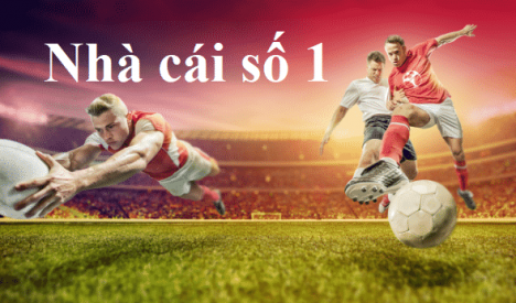 nhà cái số 1