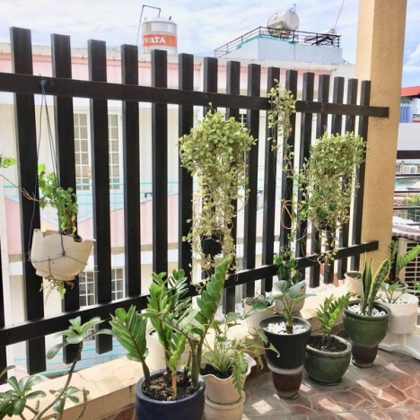 CẦN BÁN NHÀ-CÔ BẮC,P1,PHÚ NHUẬN-GIÁ NHỈNH 8TY.