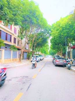 Bán Biệt thự Phố Lưu Hữu Phước, Mỹ Đình 2: 240M – 4Tầng,Th.Máy – MT30m, L.Góc: 60 Tỷ