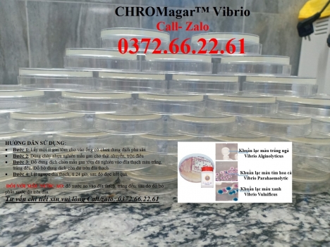 Đĩa kiểm khuẩn gây bệnh ems trên tôm