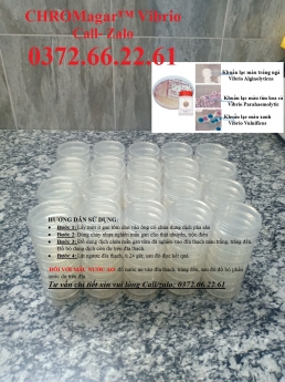 Đĩa kiểm khuẩn vibrio