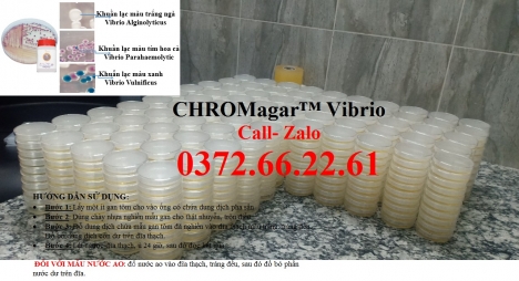 Đĩa kiểm khuẩn chromagar đổ sẵn  - test nhanh khuẩn gây bệnh trên tôm