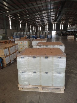 Trigonox 301 (Nouryon)