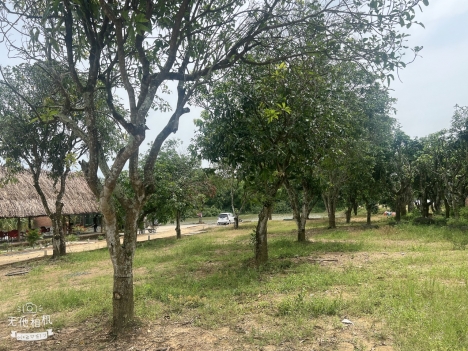 CẦN TIỀN KINH DOANH - BÁN GẤP CÁC SÀO ĐẤT TẠI HỒ TRI AN - ĐỒNG NAI