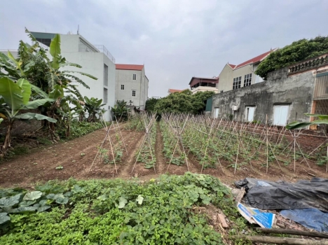 Bán Đất Đức Giang, Hoài Đức 105m Ô tô, Đầu tư, Kinh doanh 1,x tỷ