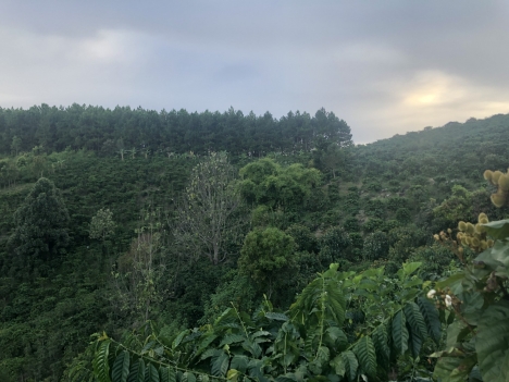 Cần tiền bán gấp đất rộng view đẹp tại Tà Nung, Đà Lạt 9000m2