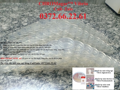 Đĩa kiểm khuẩn vibrio