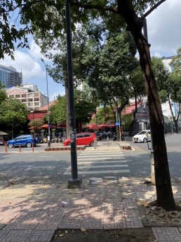 Ngay Hồ Con Rùa Trung Tâm TP HCM. Bán MTKD Phạm Ngọc Thạch, P6, Q3