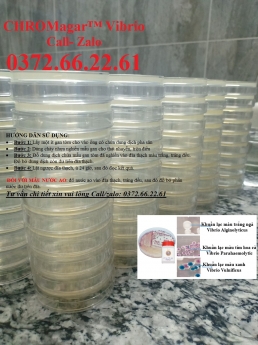 Đĩa kiểm khuẩn vibrio