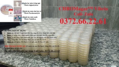 Đĩa kiểm khuẩn vibrio
