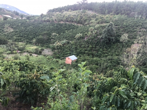 Cần tiền bán gấp đất rộng view đẹp tại Tà Nung, Đà Lạt 9000m2