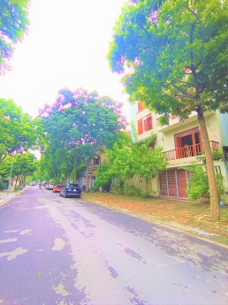 Bán Biệt thự Phố Lưu Hữu Phước, Mỹ Đình 2: 240M – 4Tầng,Th.Máy – MT30m, L.Góc: 60 Tỷ