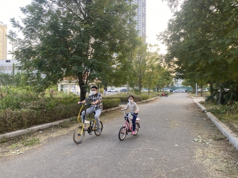 Hot! Bán nhà mặt phố Trần Vỹ 60m2, MT 6m lô góc, vỉa hè, view công viên, kinh doanh đỉnh chỉ 23 tỷ.