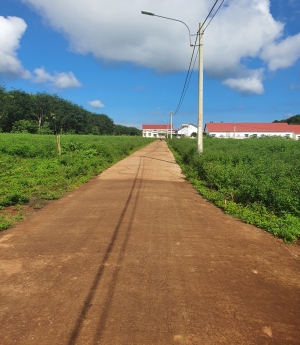 Quí Khách muốn sỡ hữu 1 lô đất nhưng tài chính dưới 1 tỷ