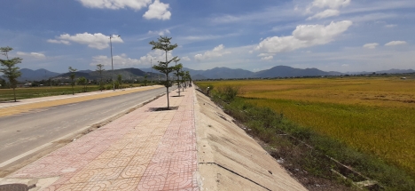 CẦN BÁN 3 LÔ LÚA MẶT ĐƯỜNG D6, DIÊN LẠC, DIÊN KHÁNH, KHÁNH HÒA