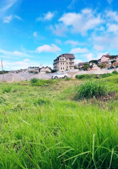 BÁN LÔ ĐẤT ĐẸP ĐẦU TƯ TẠI PHƯỜNG 8 ĐÀ LẠT
