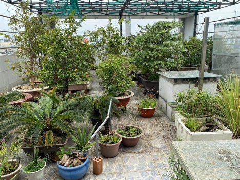 Bán Nhà Lê Đức Thọ 80m2 Hẻm Xe Tải 1 Bước Chân Tiện ích Bủa Vây