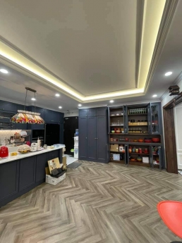 Biệt thự đẹp nhất khu Đặng Thai Mai 265 m x 5 tầng, MT 15m, giá 46 tỷ.