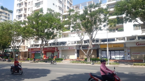 Bán căn hộ Park View block B Phú Mỹ Hưng quận 7 giá 3.2 tỷ