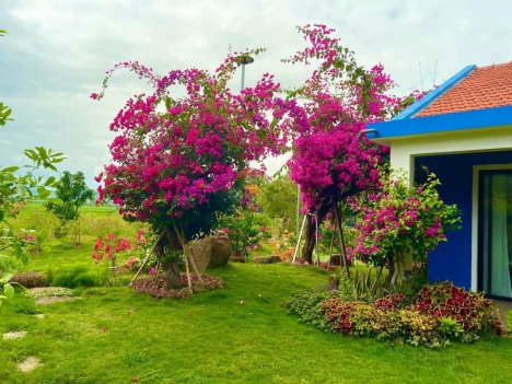 Sang Nhượng Lại Fram Tuyệt đẹp, Ninh hòa khánh hòa, CÓ VƯờn , ao hồ, Cảnh Đẹp Tựa Như Đà Lạt...