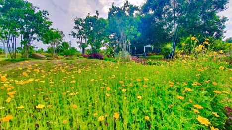 Sang Nhượng Lại Fram Tuyệt đẹp, Ninh hòa khánh hòa, CÓ VƯờn , ao hồ, Cảnh Đẹp Tựa Như Đà Lạt...