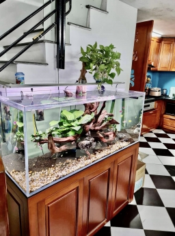 Bán Nhà Gần Phố Lê TRỌNG TẤN-OTO ĐÕ CỬA-NGÕ THÔNG-GẦN PHỐ CHỈ 5,2 TỶ KHU VỰC HIẾM BÁN