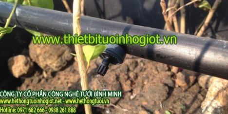 Tưới nhỏ giọt, hệ thống tưới nhỏ giọt, thiết bị tưới nhỏ giọt, tưới nhỏ giọt Azud,