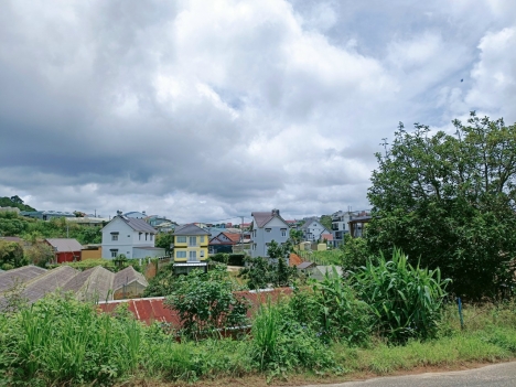 Cần bán gấp đất nền Biệt Thự mặt tiền đường Tô Hiệu, Đà Lạt giá chỉ 12.5 tỷ