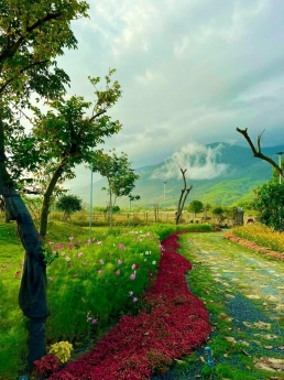 Sang Nhượng Lại Fram Tuyệt đẹp, Ninh hòa khánh hòa, CÓ VƯờn , ao hồ, Cảnh Đẹp Tựa Như Đà Lạt...