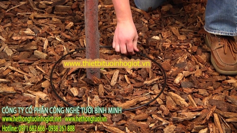 Tưới nhỏ giọt, hệ thống tưới nhỏ giọt, thiết bị tưới nhỏ giọt, tưới nhỏ giọt Azud,