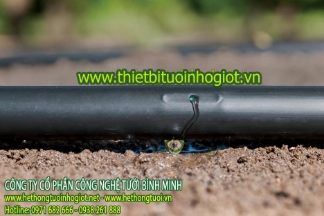 Tưới nhỏ giọt, hệ thống tưới nhỏ giọt, thiết bị tưới nhỏ giọt, tưới nhỏ giọt Azud,
