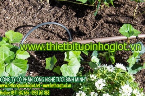 Tưới nhỏ giọt, hệ thống tưới nhỏ giọt, thiết bị tưới nhỏ giọt, tưới nhỏ giọt Azud,