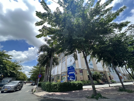 Bán căn góc 80m2 tầng 7 C/C The CBD Đồng Văn Cống Thủ Đức