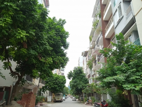 Bán nhà Lê Trọng Tấn, 50m2x7T thang máy kinh doanh, nhỉnh 10 tỷ