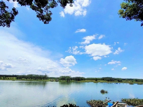 CHÍNH CHỦ - BÁN 4 SÀO ĐẤT DIỆN ĐẸP 25X50M, VIEW HỒ TRỊ AN - SÔNG LA NGÀ - ĐỒNG NAI