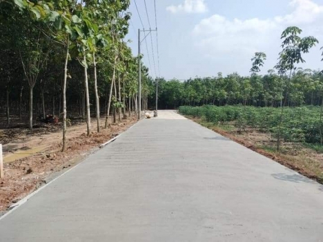 sang nhượng lại 29 ha cao su bao đẹp . đất nằm khu đắc địa ở xã suối Ngô 
tuyệt đep