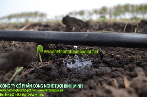 Ống nhỏ giọt dải luống, phụ kiện nhỏ giọt dải luống, tưới nhỏ giọt dải luống