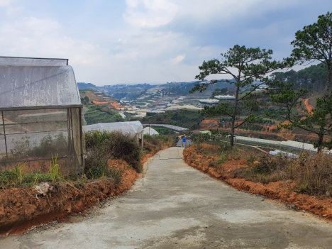 Cần tiền Bán gấp đất rộng view đẹp tại Xuân Thành, Trại Mát, Đà Lạt 1840m2 giá 5.6 tỷ