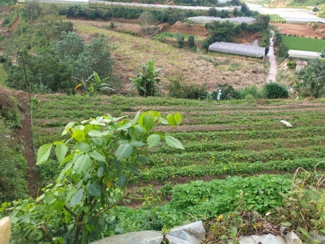Cần bán gấp đất rộng view đẹp tại Xuân Thọ, Đà Lạt 3000m2 giá 2.7 tỷ