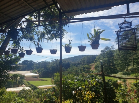 Cần bán gấp đất rộng view đẹp tại Xuân Thọ, Đà Lạt 3000m2 giá 2.7 tỷ