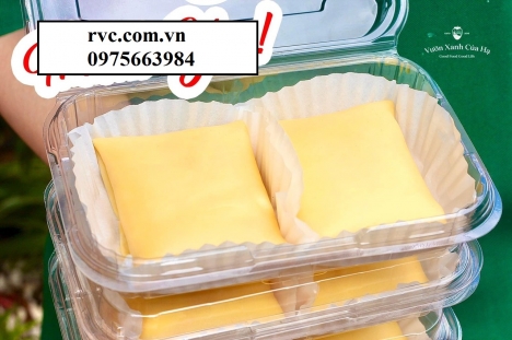 Hộp nhựa trái cây P350A đẹp, cao cấp, chất lượng
