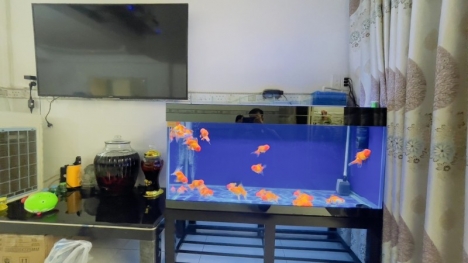 BÁN NHÀ TÂN BÌNH HXH 60M2 3 TẦNG BTCT NỞ HẬU 4.5M 2 MẶT HẺM THOÁNG BÙI THỊ XUÂN  CHỈ 7.3 TỶ.