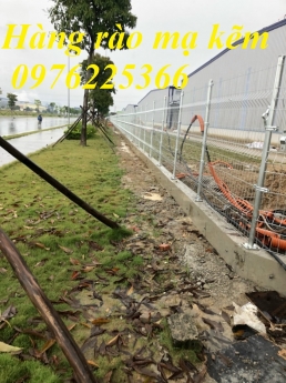 Sản xuất hàng rào mạ kẽm ,lưới thép mạ kẽm