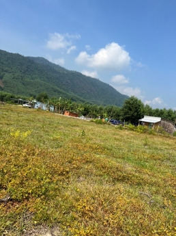 Sản Phẩm Tốt Giá Rẻ Tại Khánh Hiếp, Khánh Vĩnh. Chỉ 390tr Có Ngay 462m2 Quy Hoạch Full Thổ.
