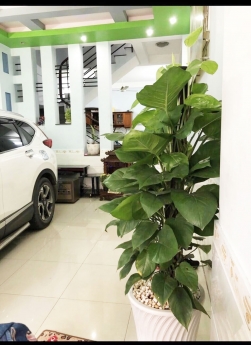 VỊ TRÍ ĐẸP, HIẾM NHÀ BÁN, H6M, 4 TẦNG, 50M RA LÊ VĂN KHƯƠNG Q12.