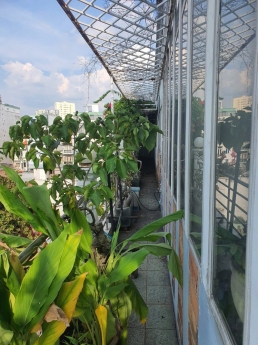 Mặt Tiền ĐInh Bộ Lĩnh - Doanh Thu 100 triệu - 7.8x18.5 - DTXD 125m2 -  3 Tầng - Giá 25 Tỷ TL