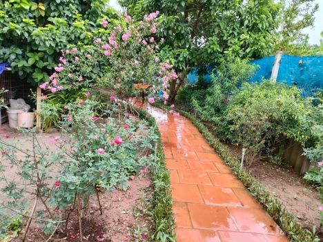 Bán đất Ngọc Thụy Long Biên 1100m2 chỉ 4tỷ View sông tuyệt đẹp