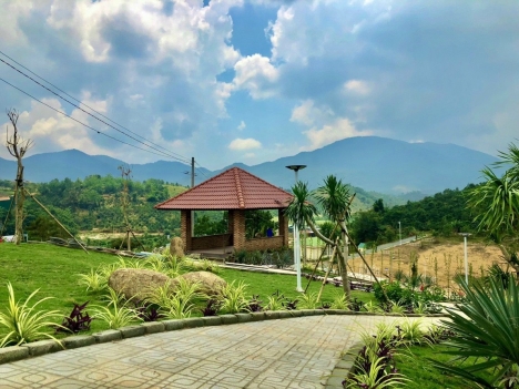 THANH LÝ 2 SÀO ĐẤT DIỆN TÍCH 2006M2 & 1343M2 - VIEW HỒ TRỊ AN - ĐỊNH QUÁN - ĐỒNG NAI