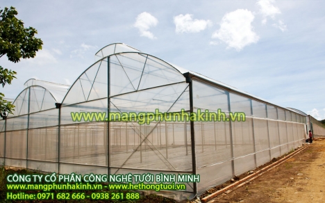 Màng phủ nhà kính Politiv, nhà kính trồng rau, nhà kính trồng hoa, nhà kính phơi nông sản, nhà kính